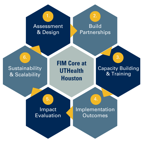 FIM Core Hexagon Chart